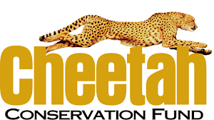 Cheetah Conservation Fund (CCF)