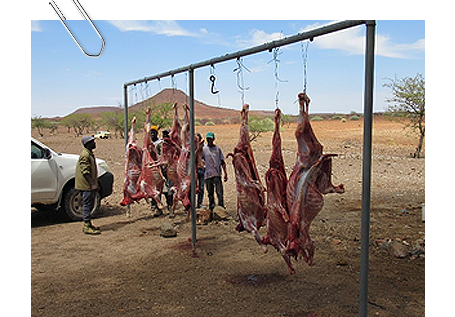 Cattle carcasses that were bought in Torra Conservancy